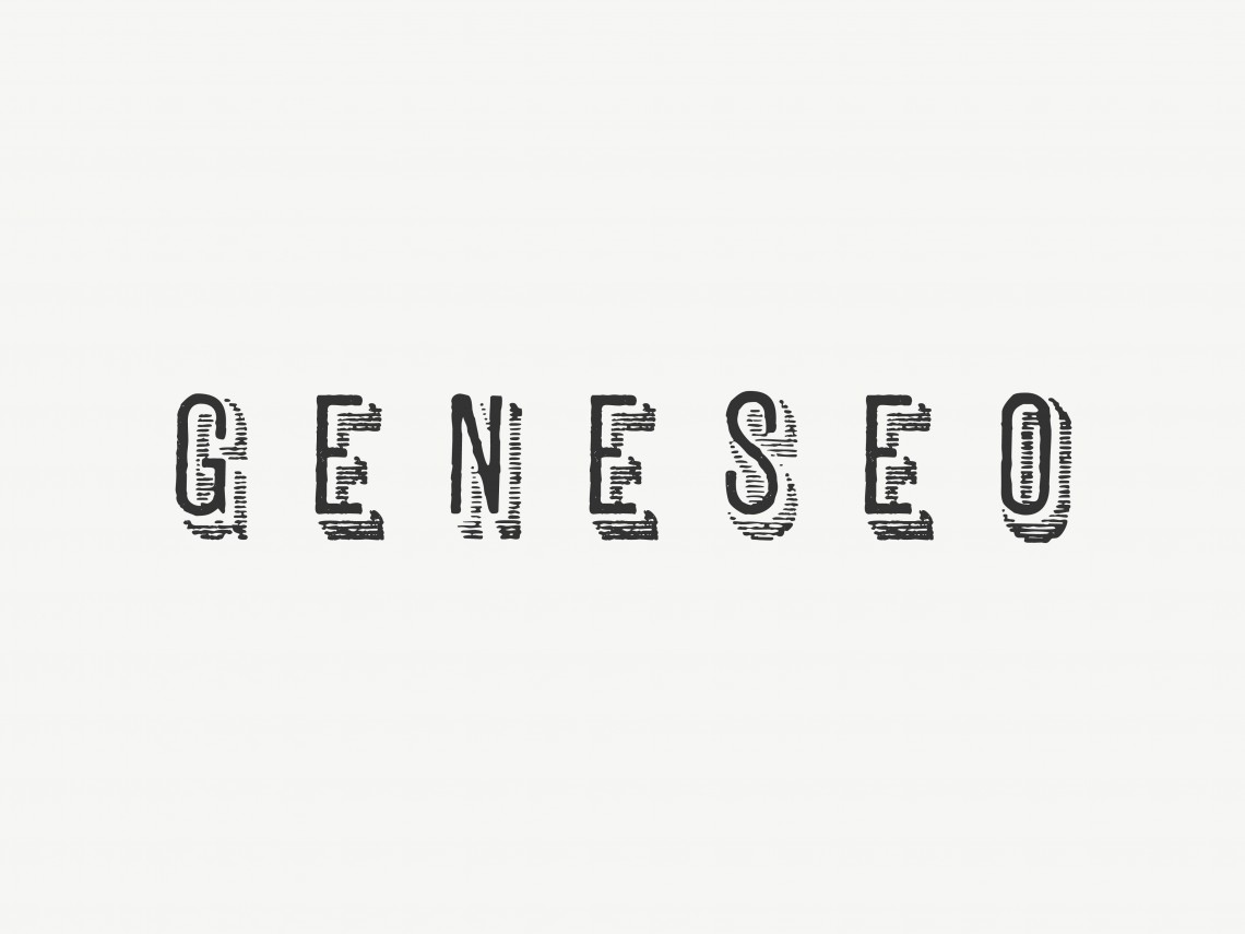 Geneseo Packaging 8