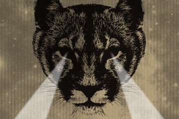 Puma Poster